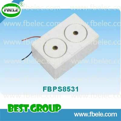 Piezo Siren/Magnetic Contact/Security/Alarm /Piezo Alarm