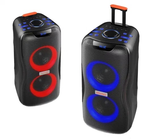 Temeisheng 2022 DJ ボックス音楽 MP3 パーティーサウンドボックス 100 ワットプロフェッショナルポータブルオーディオワイヤレス Bluetooth プロスピーカーマイク付き