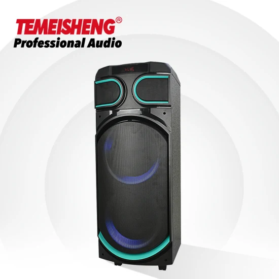 Temeisheng 8 インチパーティーボックス 100 ワットプロフェッショナルポータブルワイヤレスオーディオ Bluetooth スピーカーマイク付き